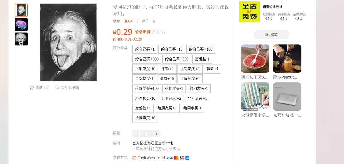 “爱因斯坦大脑”的产品介绍。（淘宝网截图）