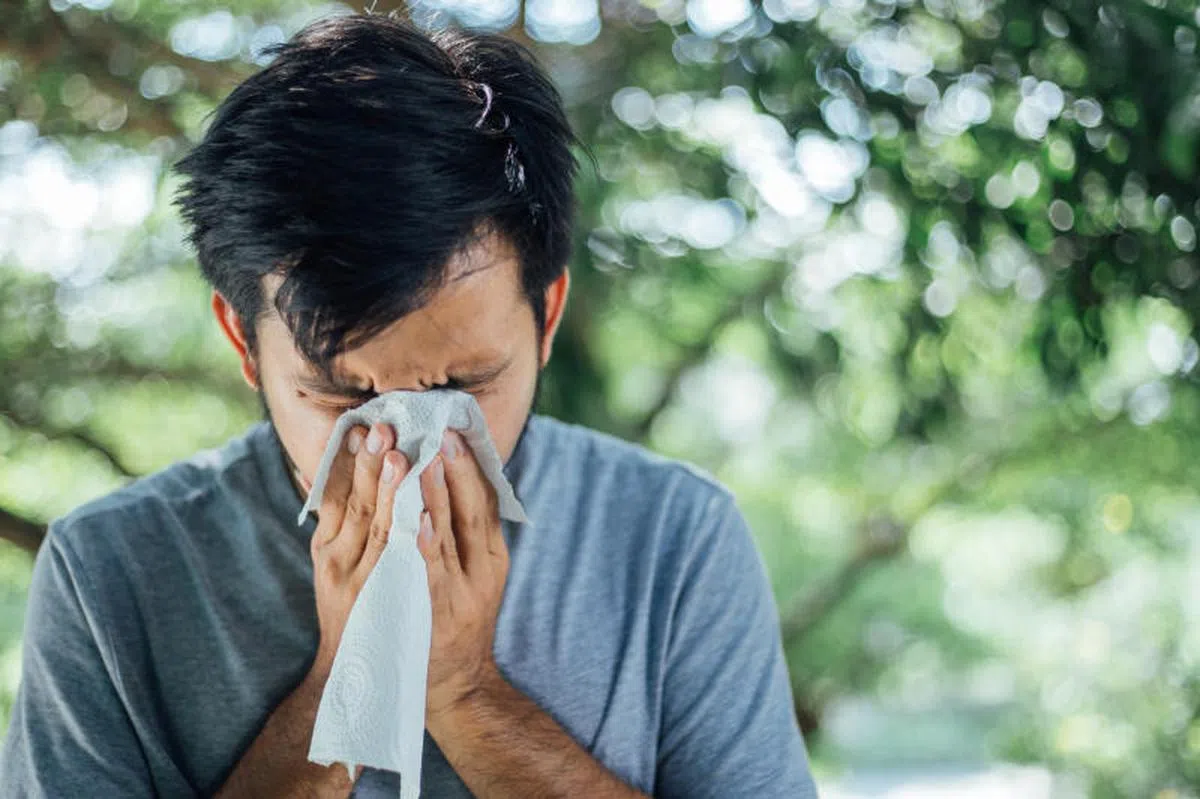  打喷嚏。（档案照） 