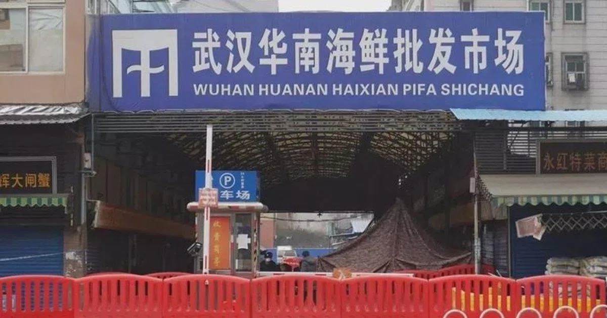  武汉华南市场在今年1月1日关闭。（新京报） 