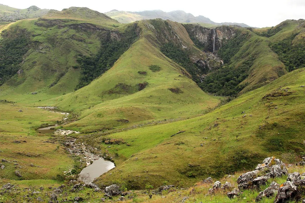 莫桑比克的齐马尼马尼（Chimanimani）国家公园。（维基百科）