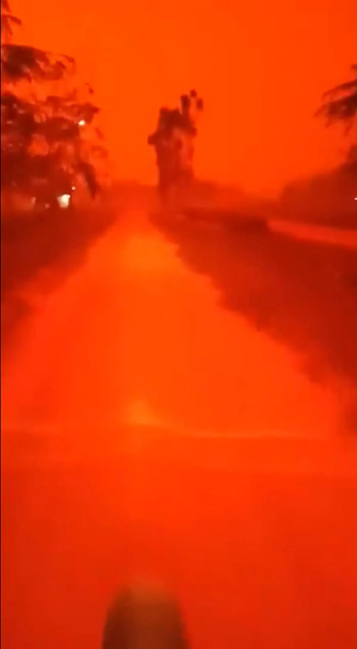  火红色的天空让当地分不出昼夜。（海峡视频截图） 