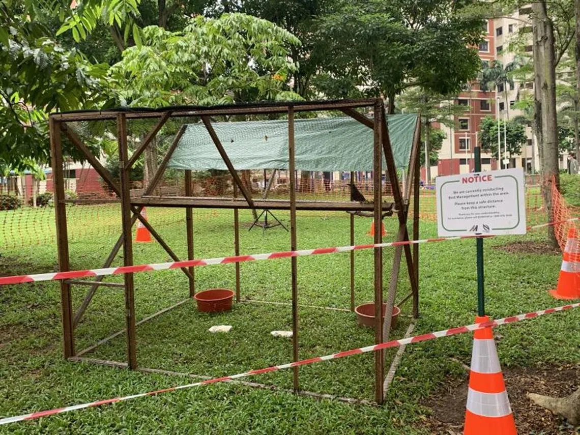 2021年摆在红山巷第85座红山巴刹与熟食中心的诱捕笼。（新明日报）