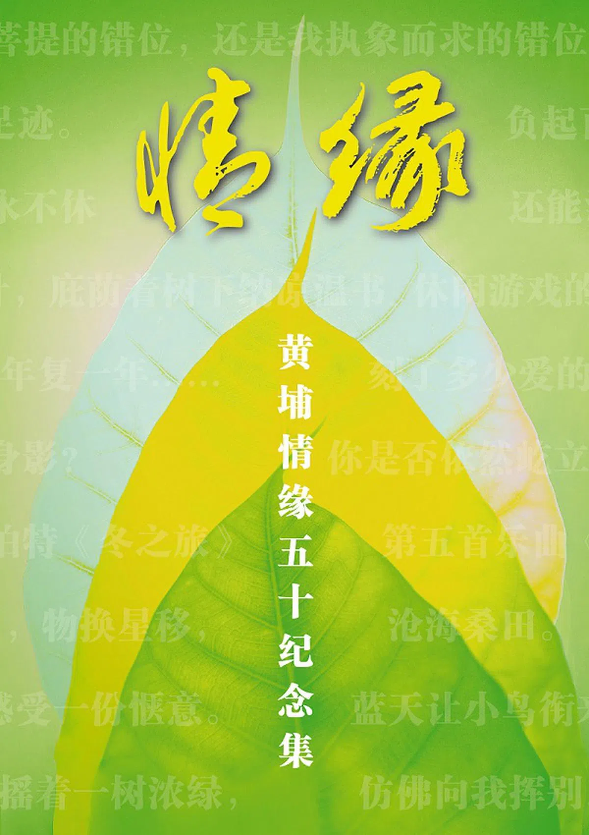  （作者提供） 