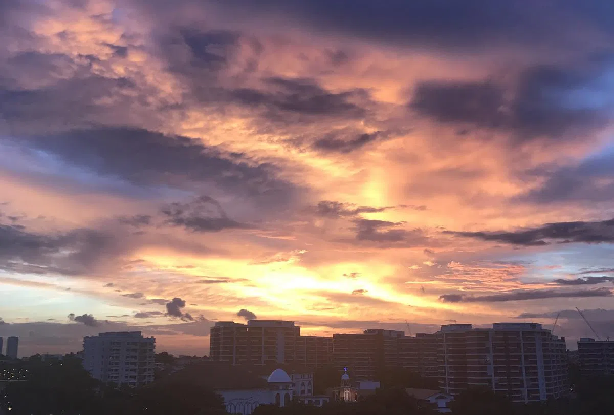  （2016年12月30日谢静怡摄） 