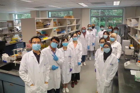 本地生技公司Tychan研发的冠病抗体药物将于下周进入人体临床试验。（国防部）