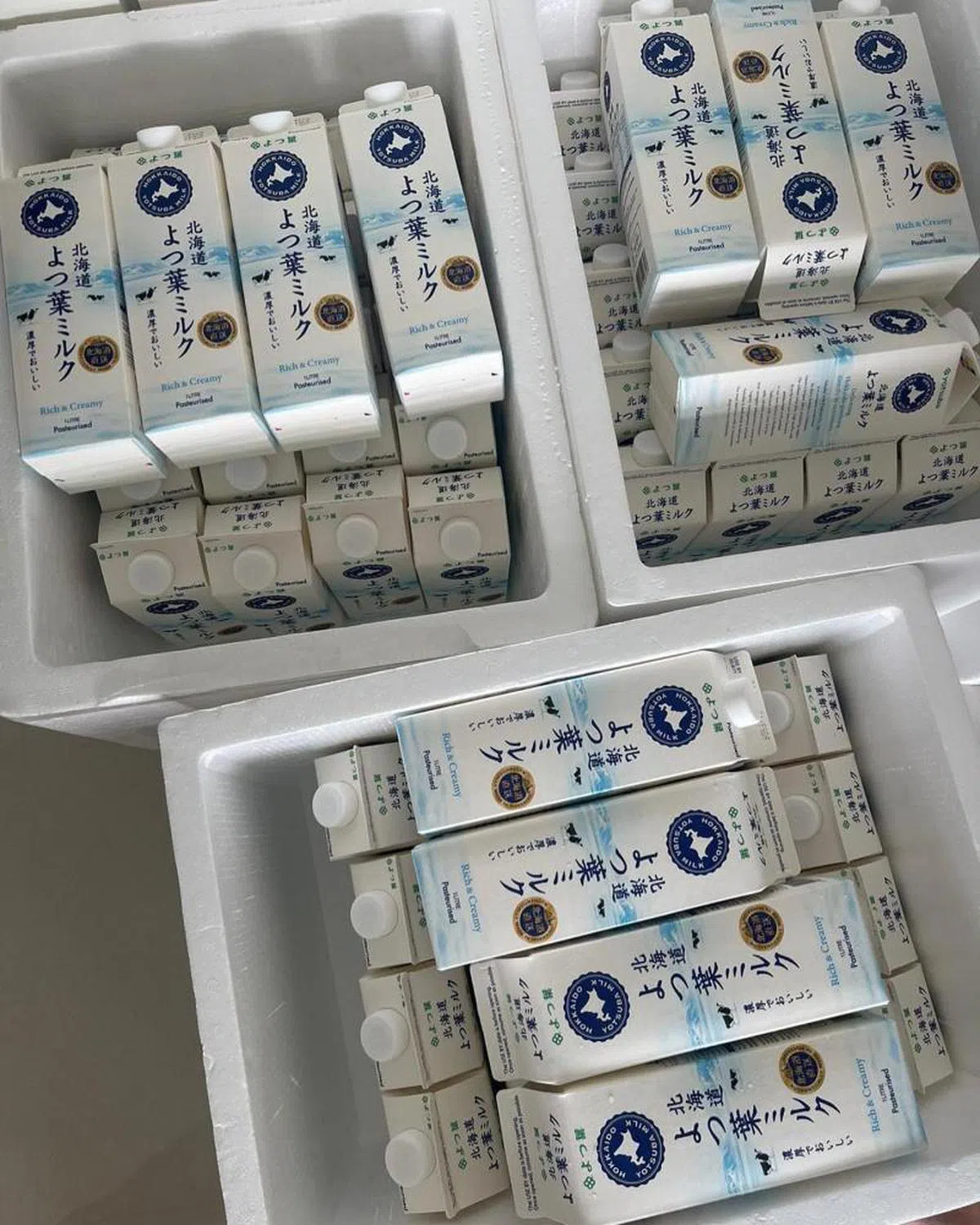  （Sengkang Group Buy面簿） 