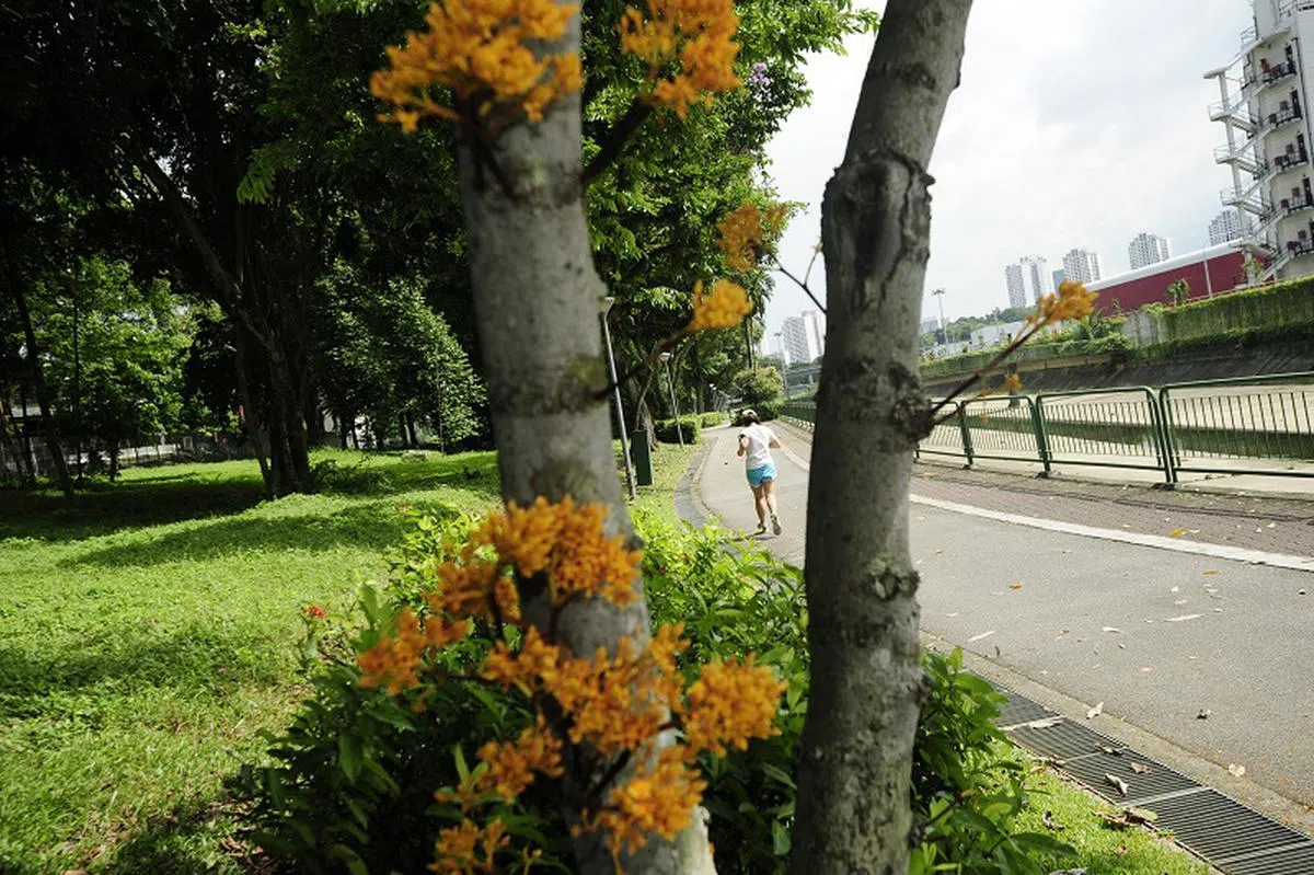 制定运动计划时方向更明确，不仅有助于跟进进展，无形中也会让自己更有推动力。（海峡时报）
