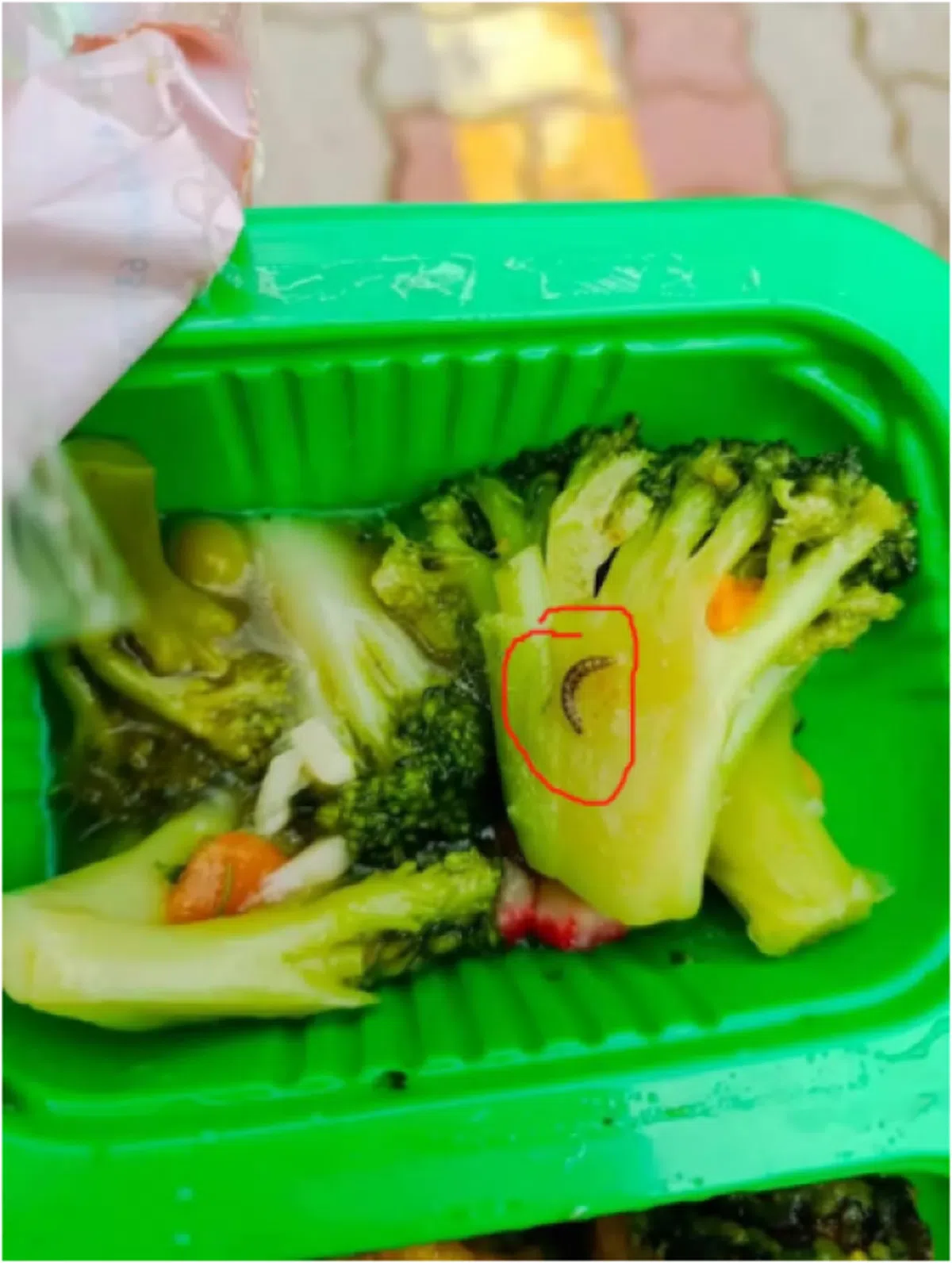 在饭菜里发现虫子。（新加坡万事通）