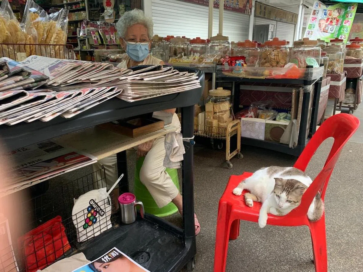  老人和猫也有不少的互动。（叶孝忠摄） 