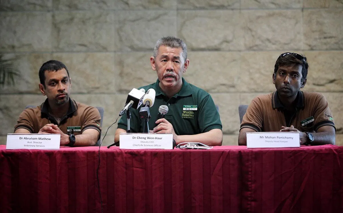  左起：新加坡野生动物保育集团兽医部副总监马修医生、集团首席生命科学官兼副首席执行官曾文豪兽医博士、伊努卡管理员兼动物园动物管理副主任（食肉动物）莫罕。（联合早报） 