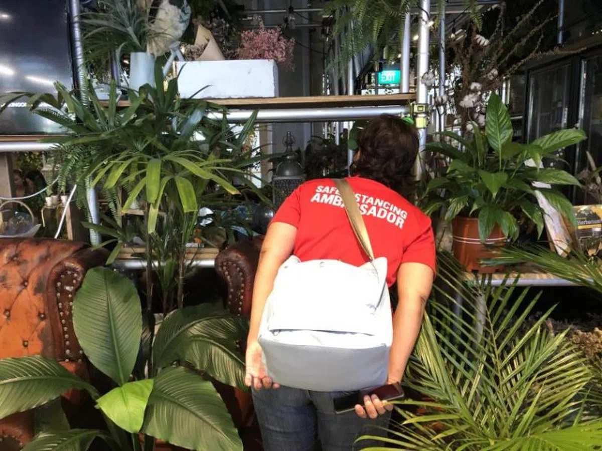  安全距离大使有时必须透过店家外的植物摆设，“偷看”商家是否有遵守规定。（洛杉矶时报） 