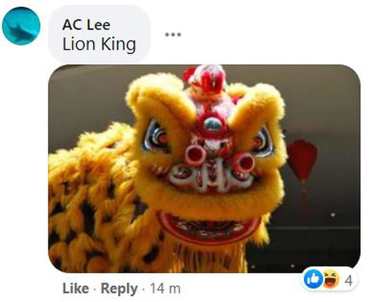  狮子王。（图：舞狮） 