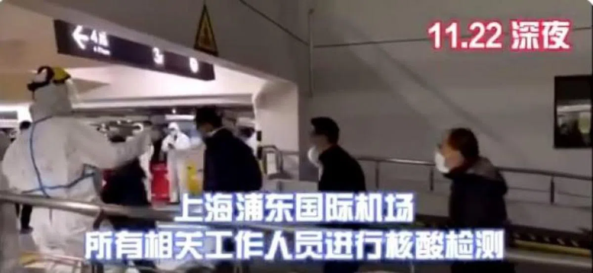  （看看新闻Knews视频截图） 