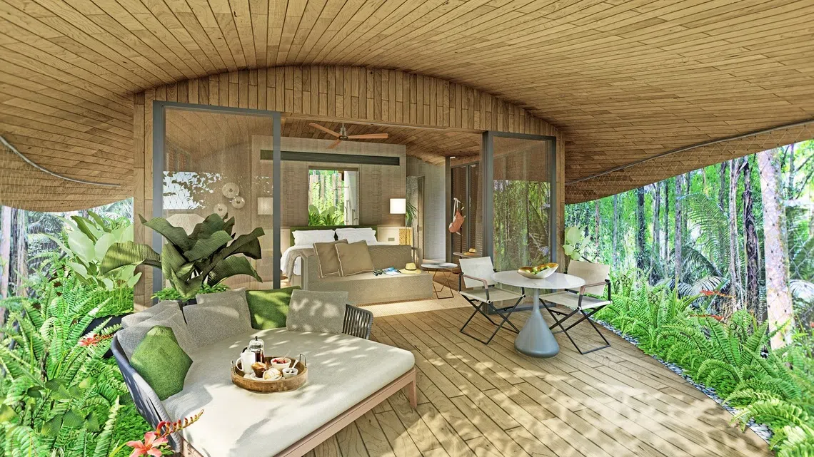 让你身临其中的树屋。（万礼生态园控股公司）