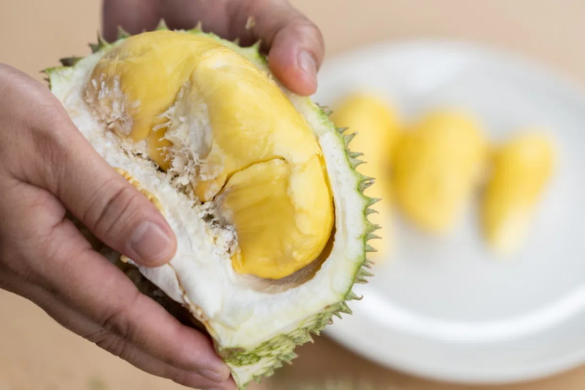  （Kungfu Durian） 