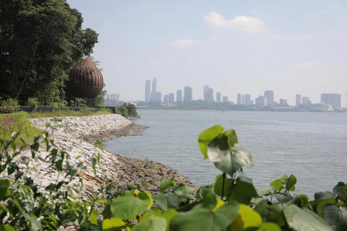  克兰芝蓄水池。（海峡时报） 