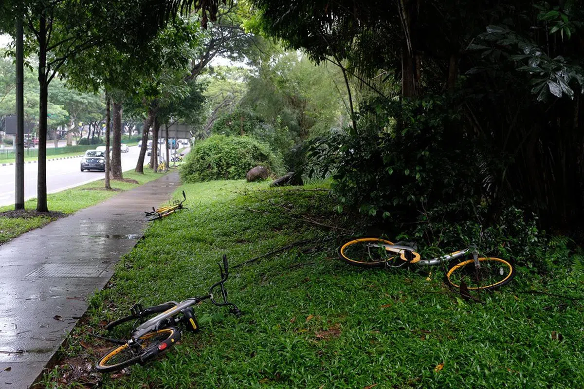  oBike乱停车现象。（联合早报） 