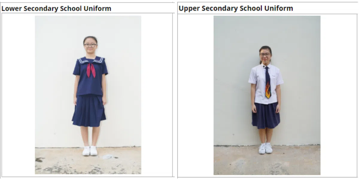  （取自林景中学网站） 