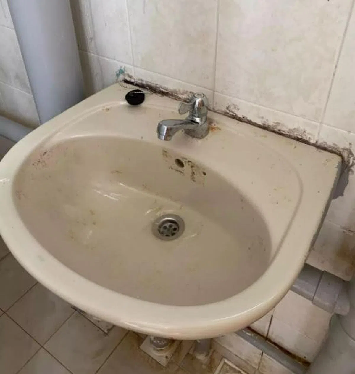  洗手盆发霉，周遭瓷砖也泛黄。（Felicia Ong面簿） 