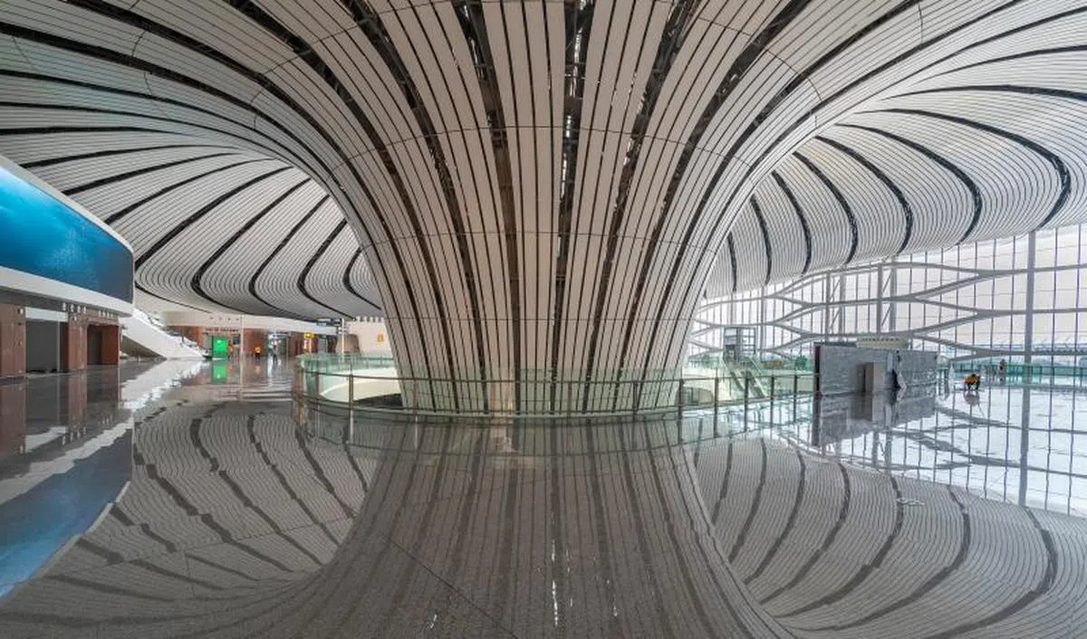  （Dezeen） 