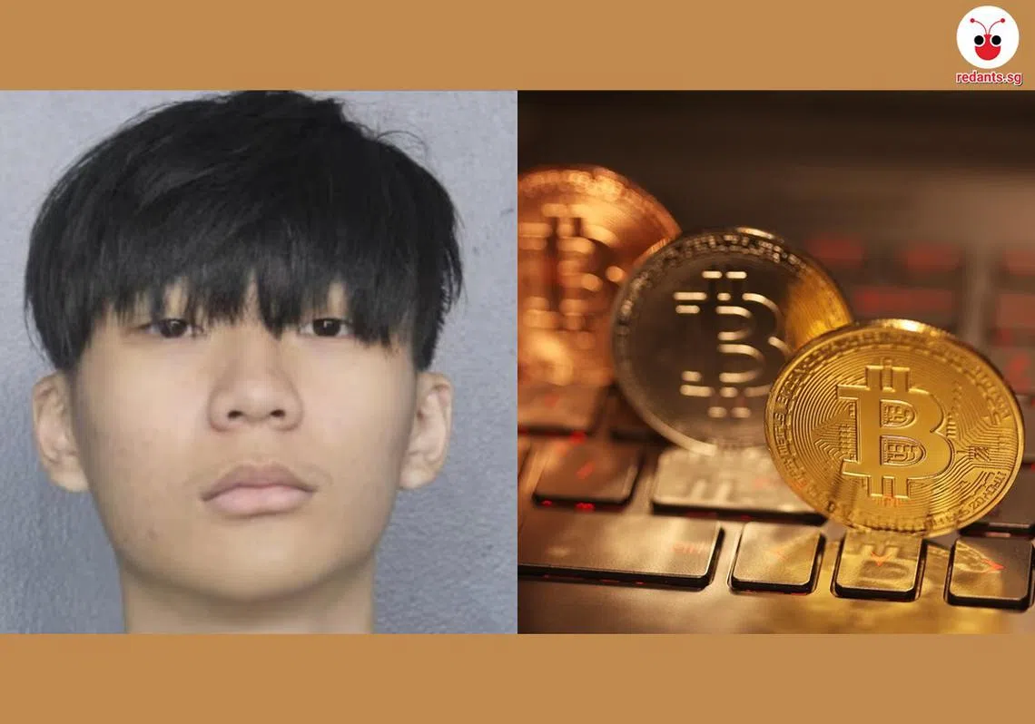 （红蚂蚁制图）