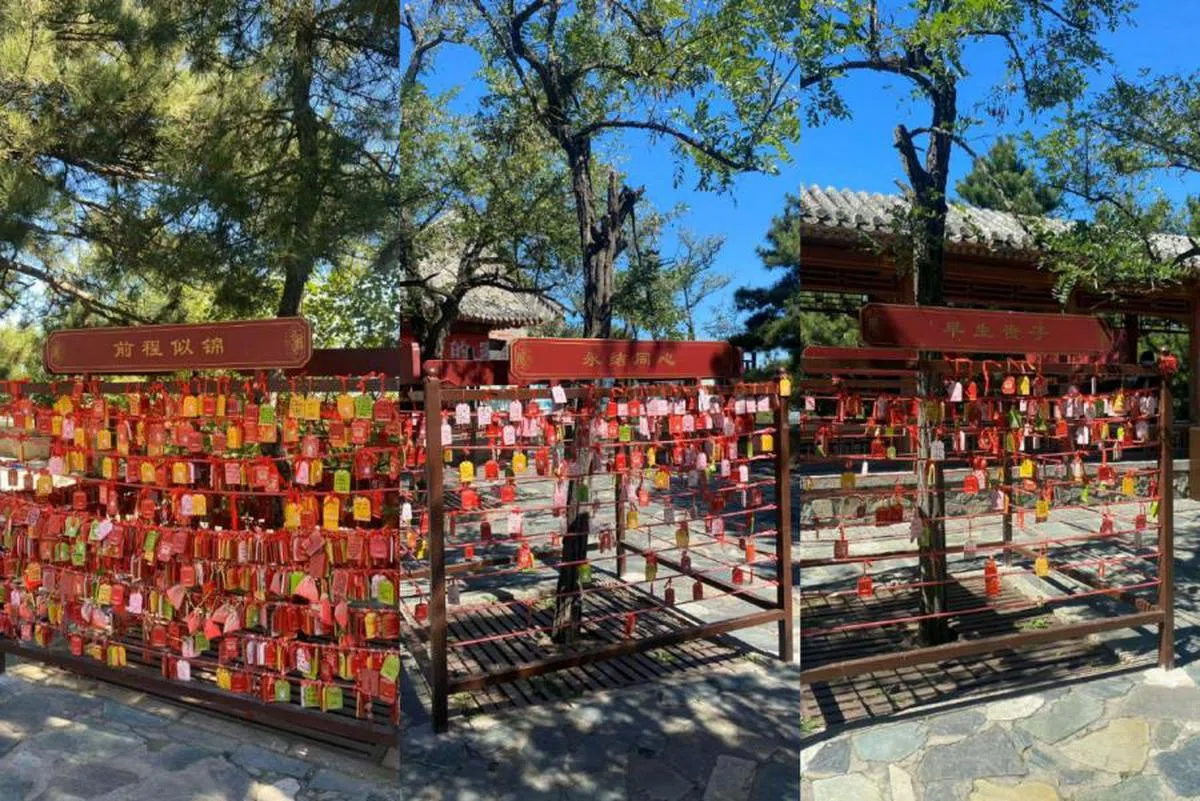 “前程似锦”架上的许愿牌爆满，与寥寥无几的“永结同心”及“早生贵子”形成鲜明对比。（红蚂蚁制图，来源：微博）