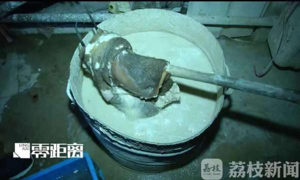  牛肚被泡在石灰里漂白。（荔枝新闻） 