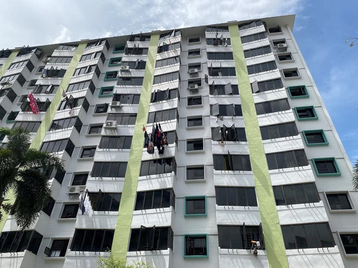 比较新式的租赁组屋。（王晴摄）