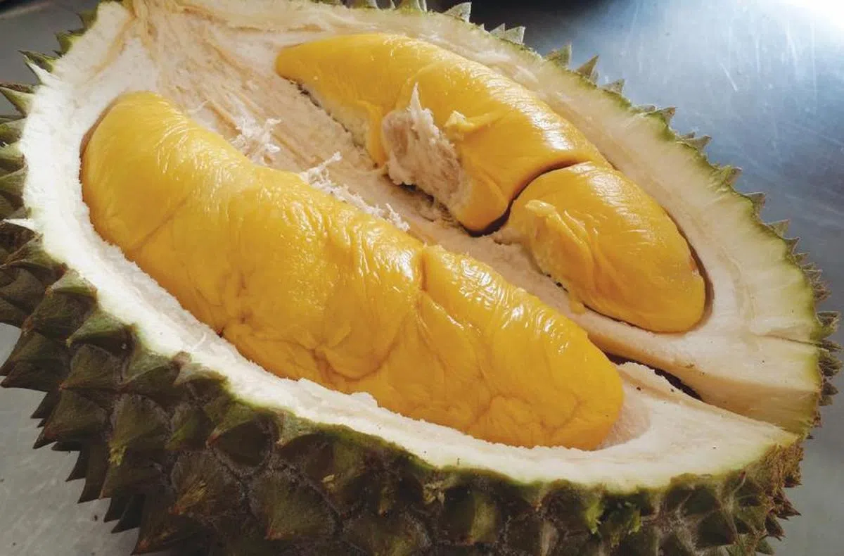 猫山王呈金黄色泽的果肉。（互联网）