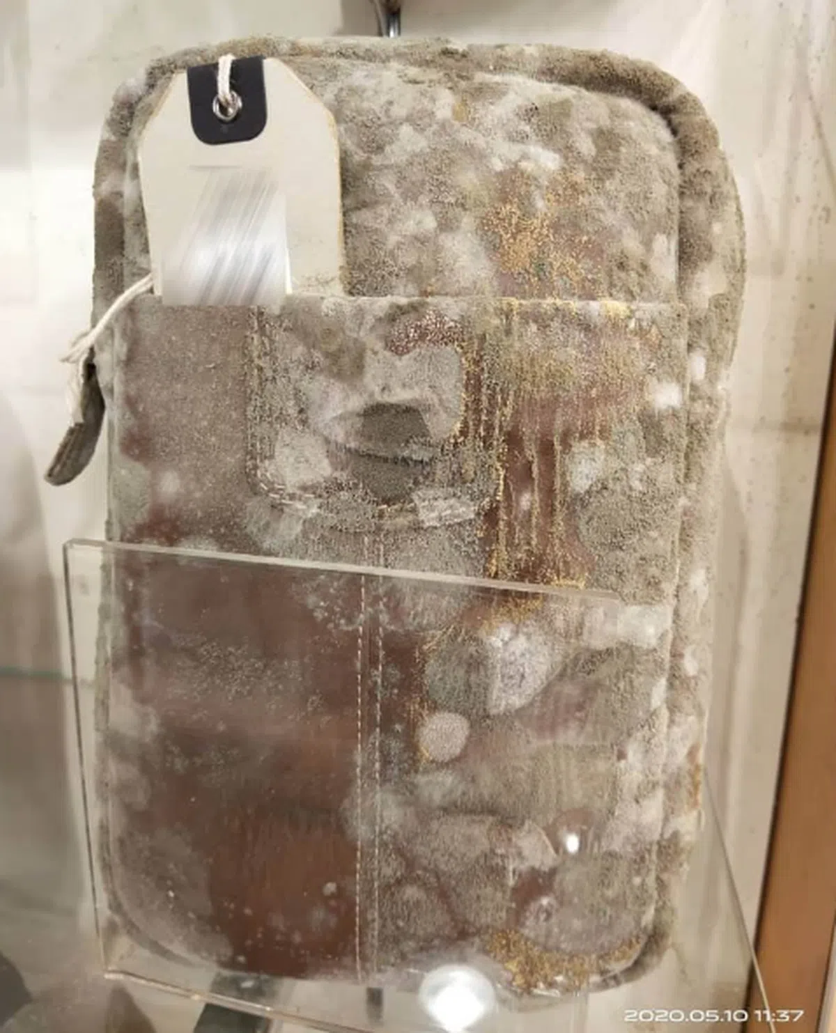  （Nex Nezum面簿） 