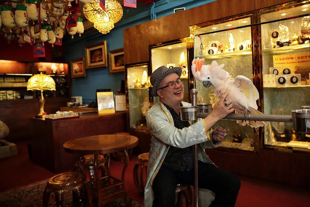 云龙子。（海峡时报档案照）