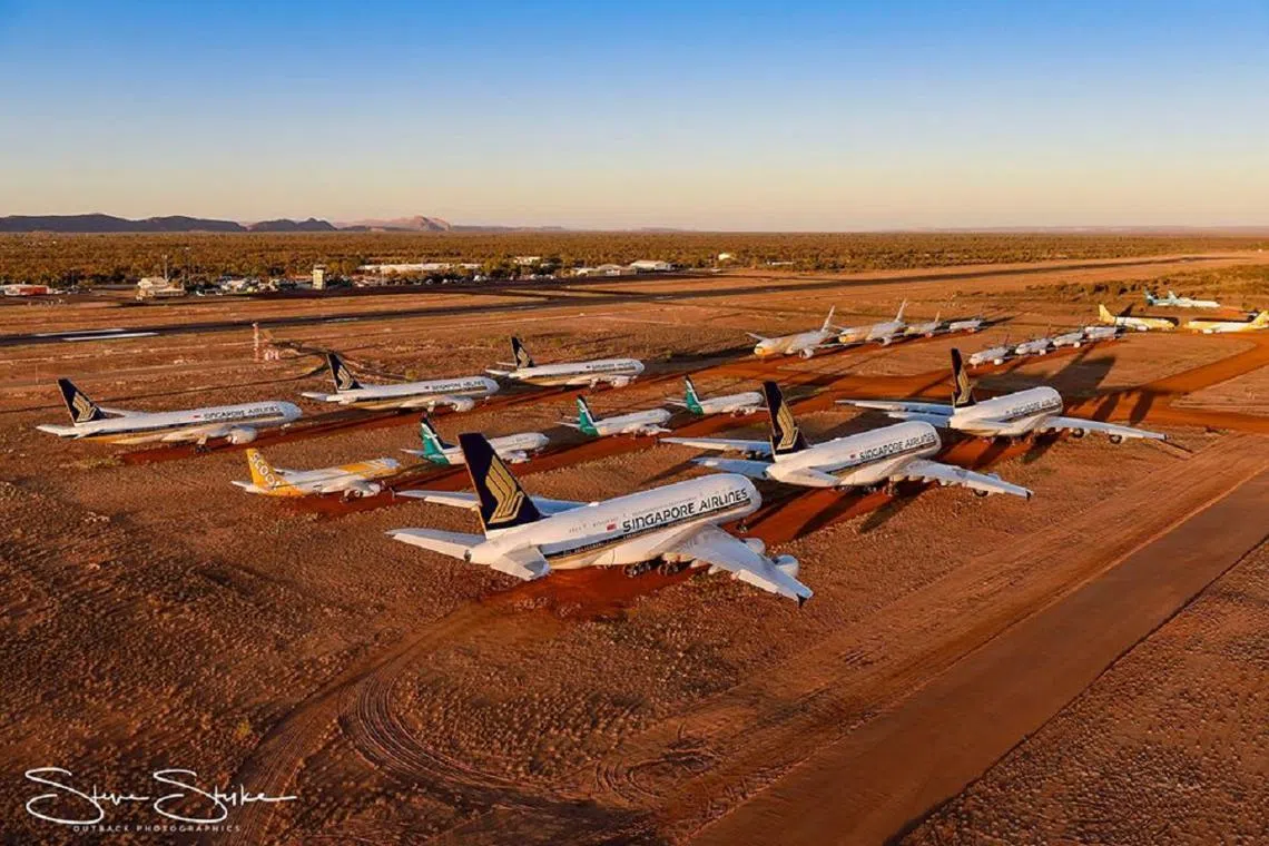 （Steve Strike面簿）