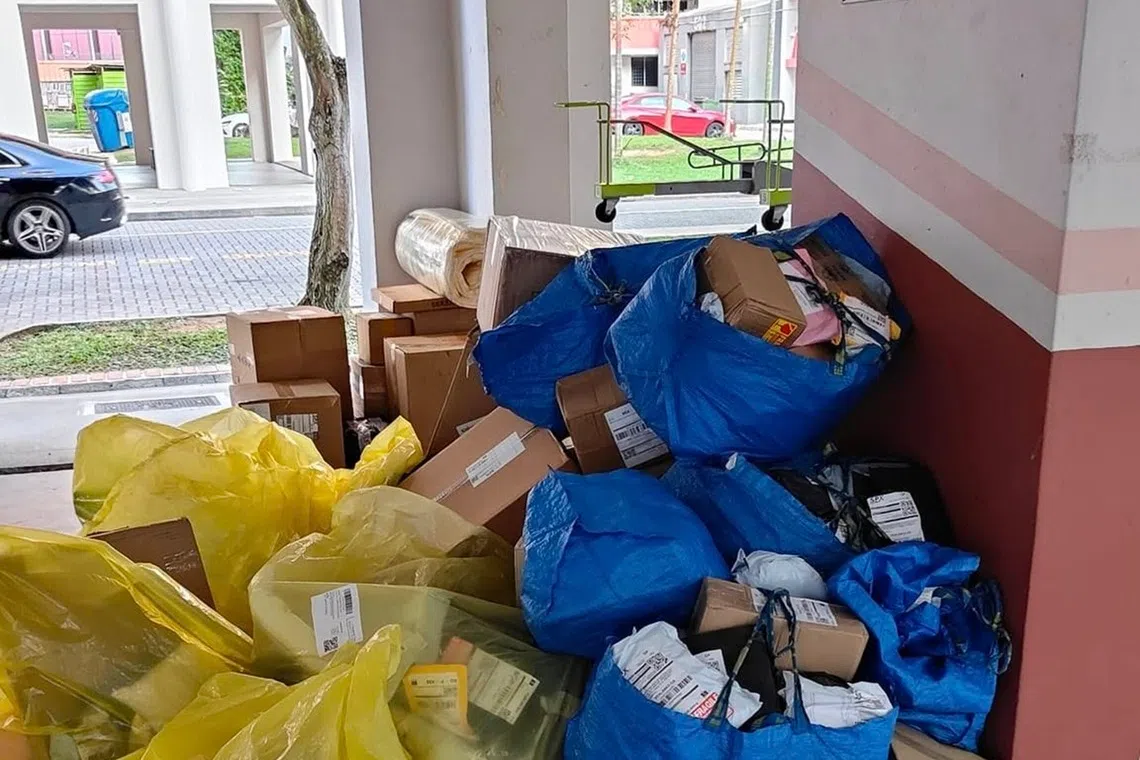 有网民在脸书上传2025年农历新年期间，组屋楼下的“包裹山”。