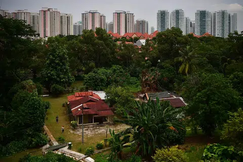 四周组屋林立，使简陋的锌板屋格外显眼。（海峡时报）