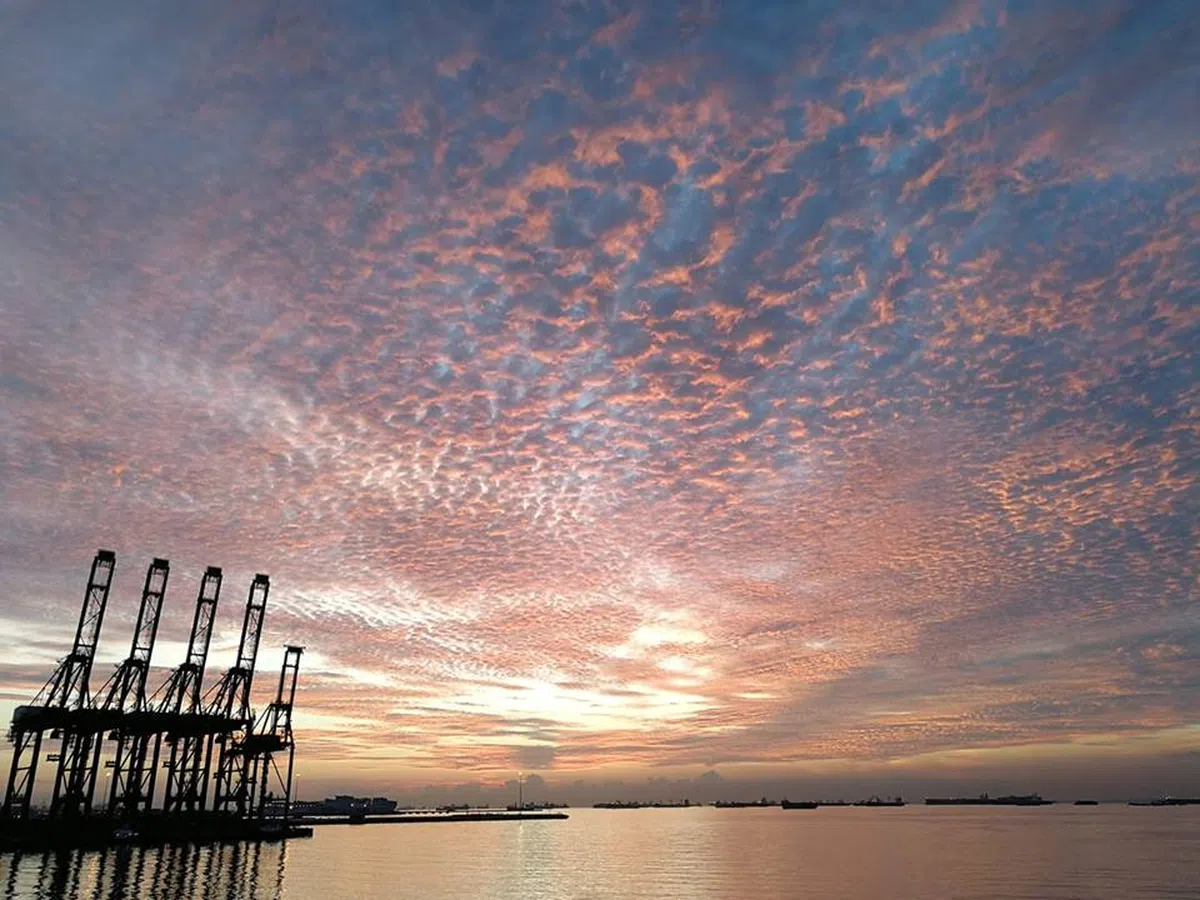  （取自Joenson Keat面簿） 