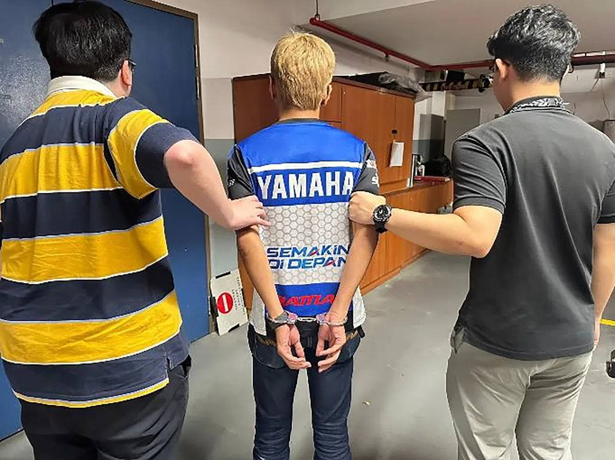 诈骗案中充当钱骡者，将面临严峻的法律刑罚。