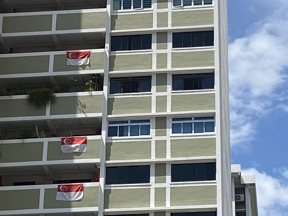 政府组屋外墙的漏网之“旗”。（红蚂蚁摄）