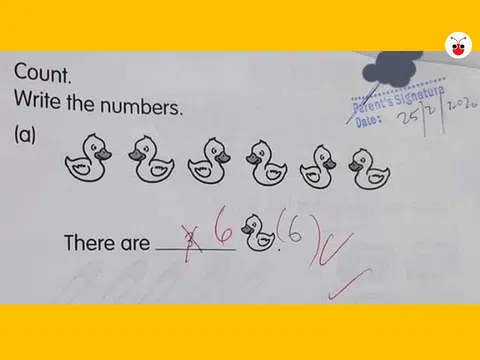 原本只是简单直接地算算几只动物的题目，小学生作答之后被批答错的“悬疑性”，引发了热议。（红蚂蚁制图）