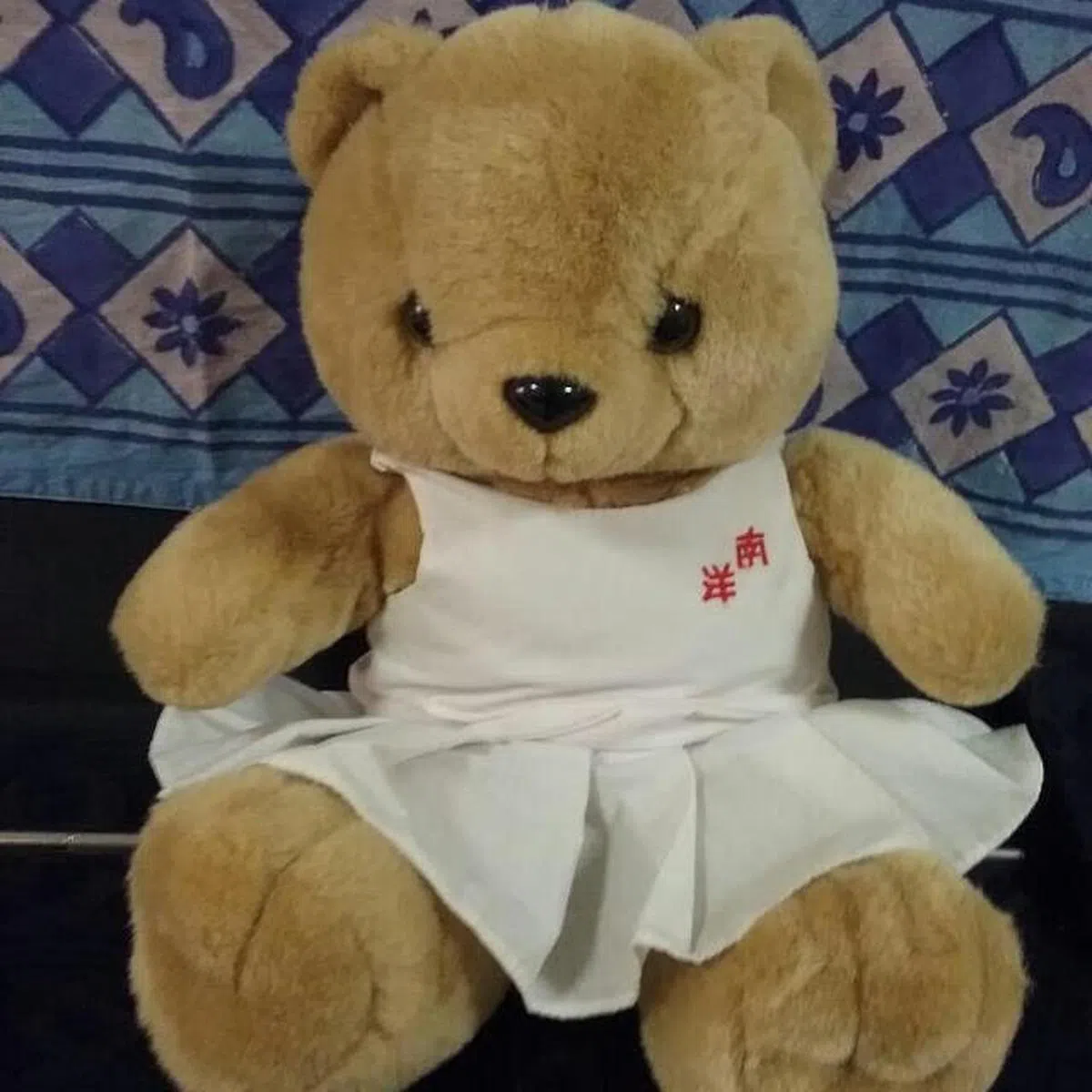  （南中校友提供） 