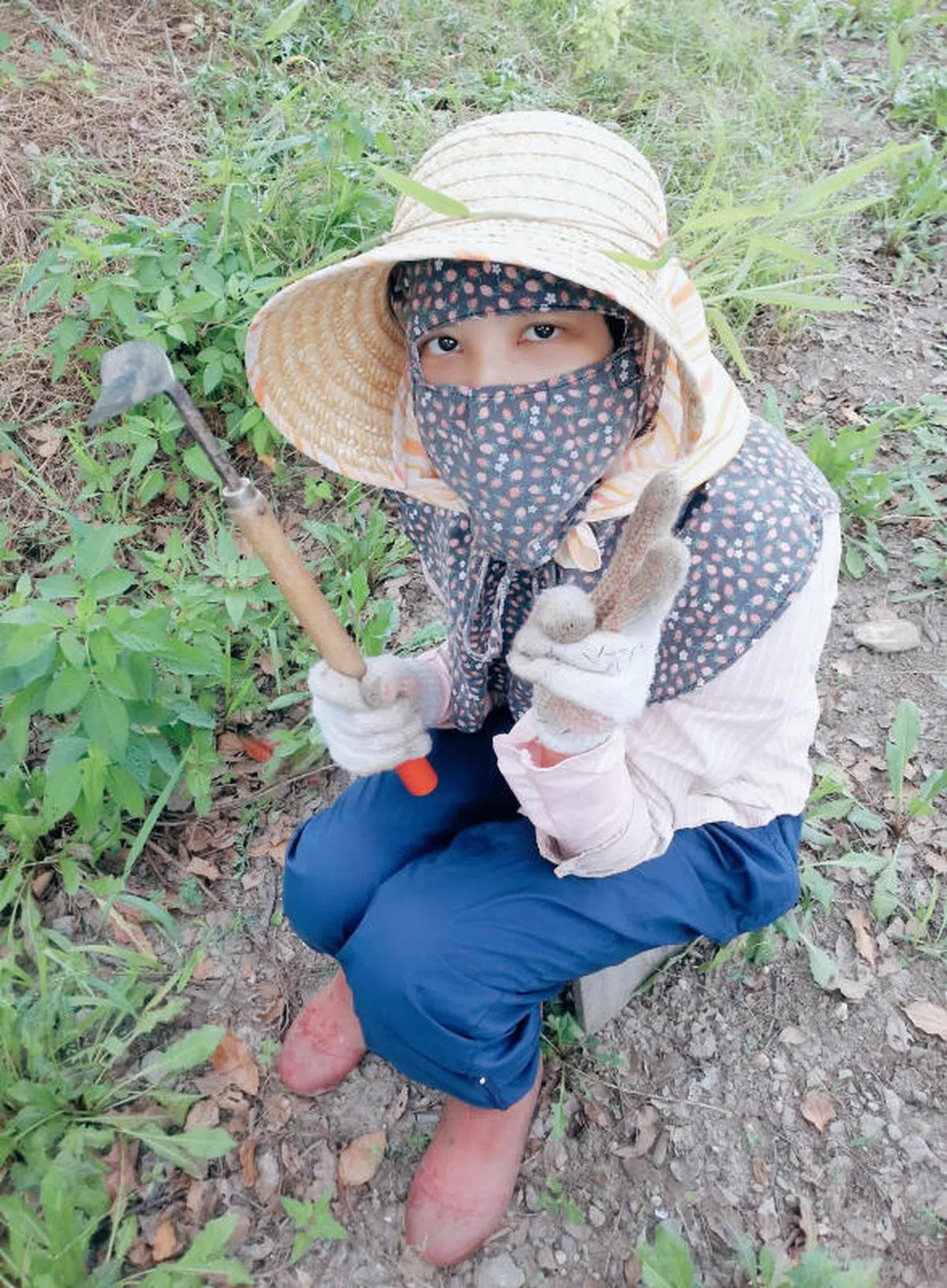 2013年，林佳雯在台东鹿野瑞和村的梅子园打工，体验与本地上班族截然不同的务农生活。（林佳雯提供给《联合早报》）