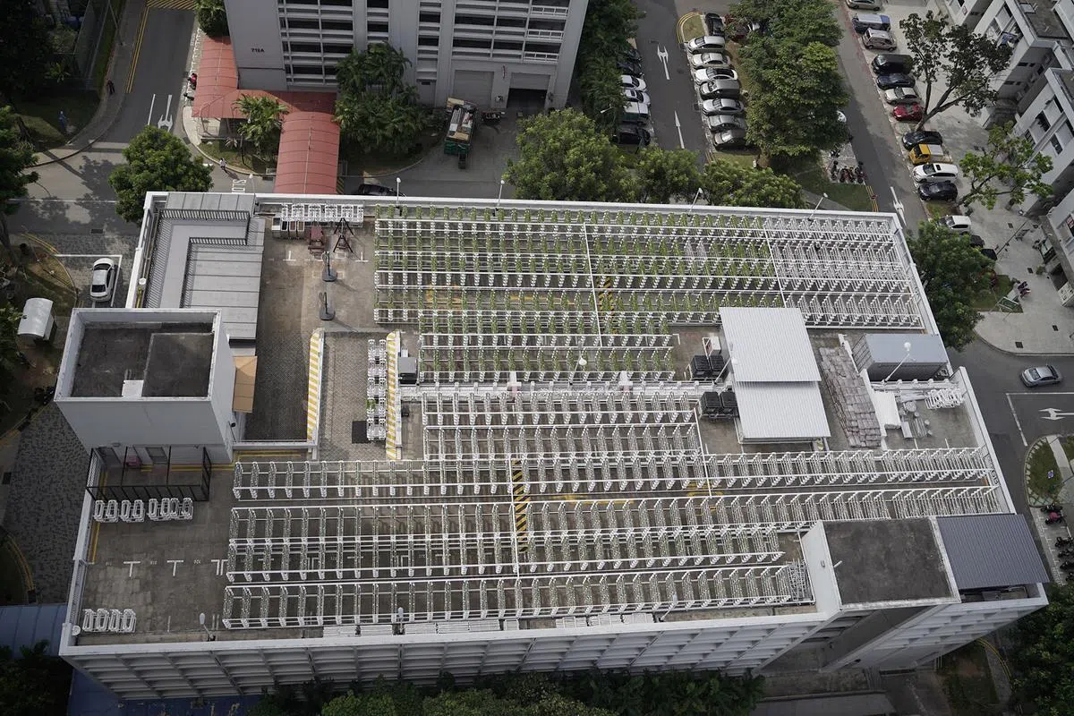  农田排列整齐，面积庞大，摄影师要以鸟瞰的角度才能把整个农田收入眼中。（档案照） 