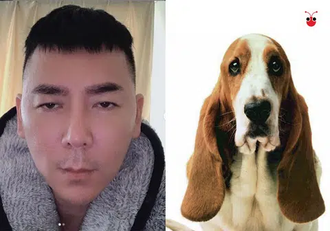 本地明星美发师李荣达称自己整容后像Hush Puppies。