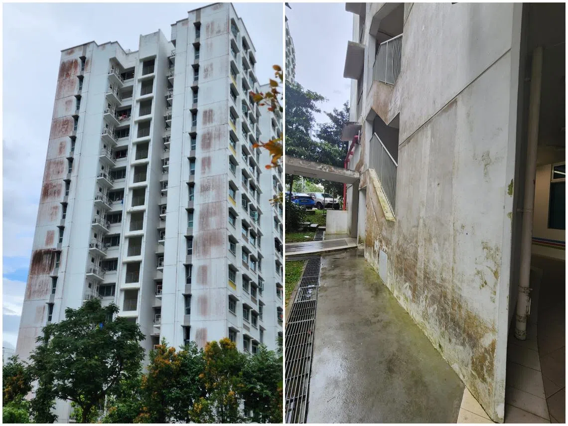 盛港居民发文指住了五年的组屋，外墙已经霉菌斑斑。（Jane Wendy脸书）