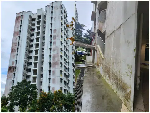 盛港居民发文指住了五年的组屋，外墙已经霉菌斑斑。（Jane Wendy脸书）