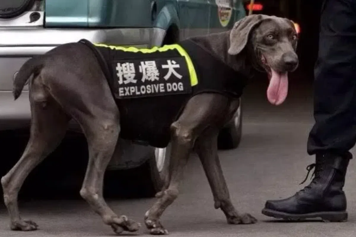  够劲爆的翻译！（互联网） 