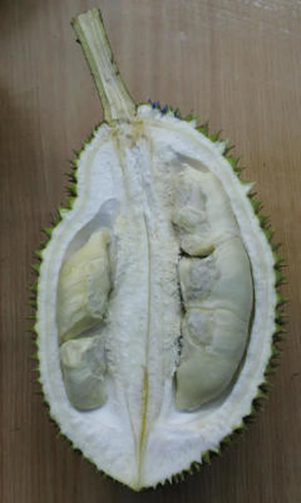  这款原产自柔佛州的榴梿因为每一个包果肉都小小的并且带有些许灰色，犹如珍珠般，因此得名黑珍珠。（海峡时报） 