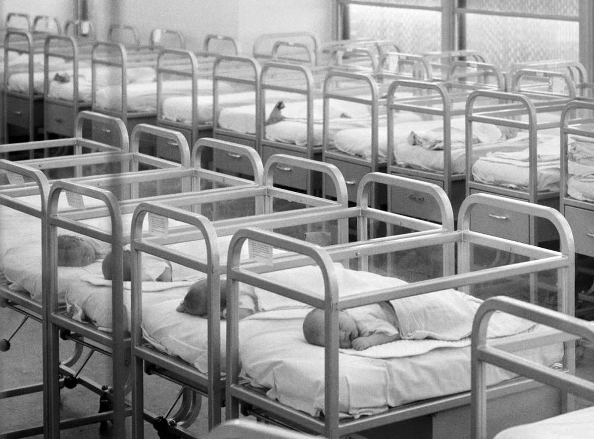 二战结束后，全球出现了生育率急剧攀升的婴儿潮。（互联网）