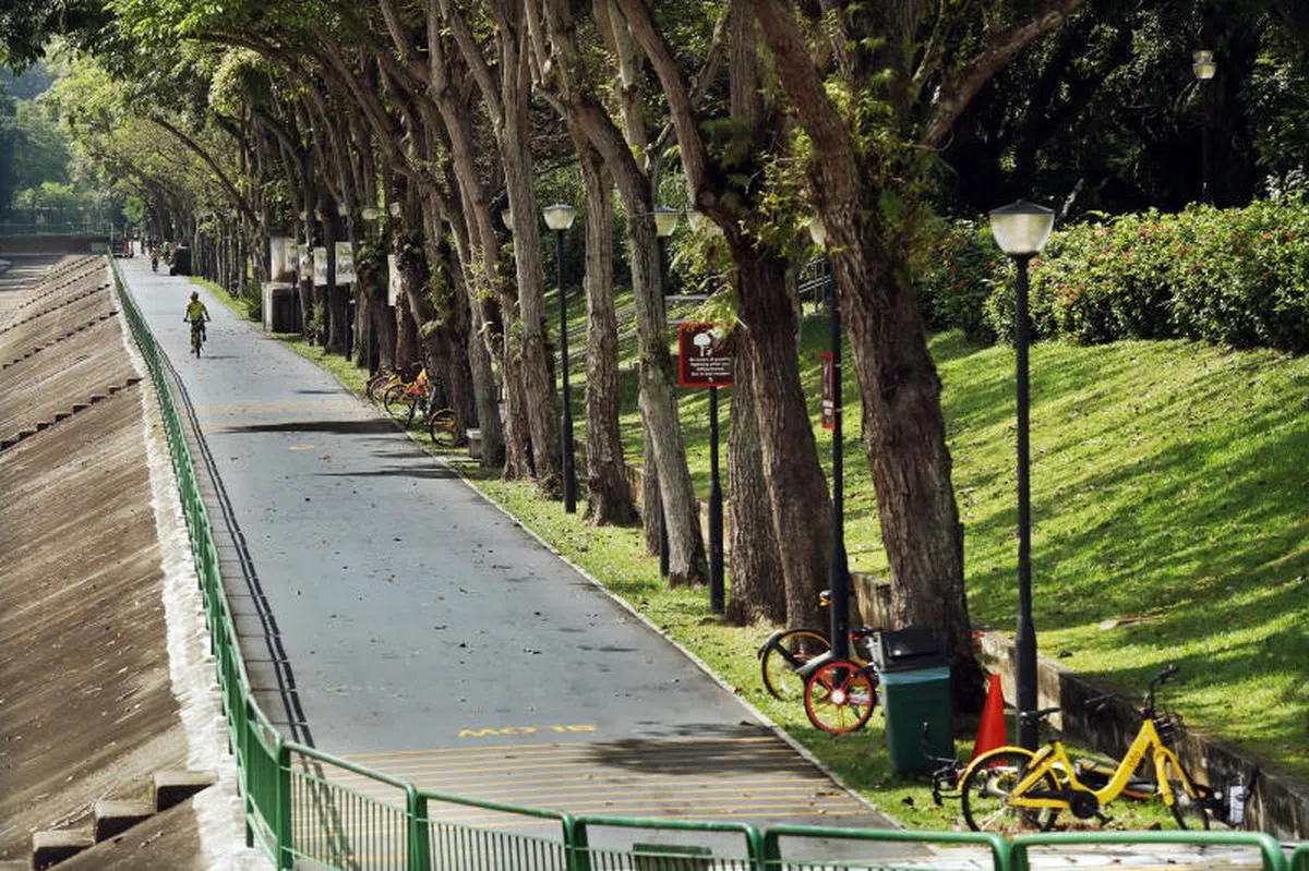  乌鲁班丹公园连道为不少联邦西道和锦茂一带的居民提供运动和休闲的空间。（联合早报） 