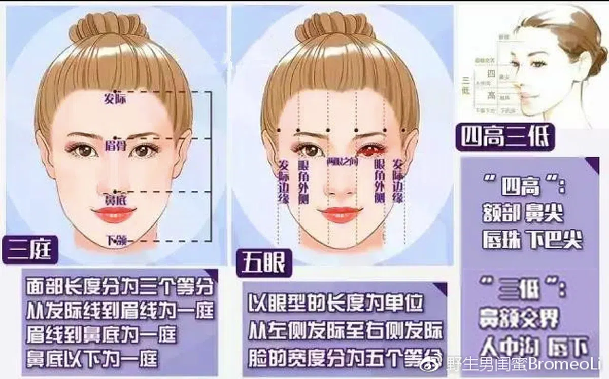  网上流传的标准：美女必须符合三庭五眼、三高四低。（互联网） 