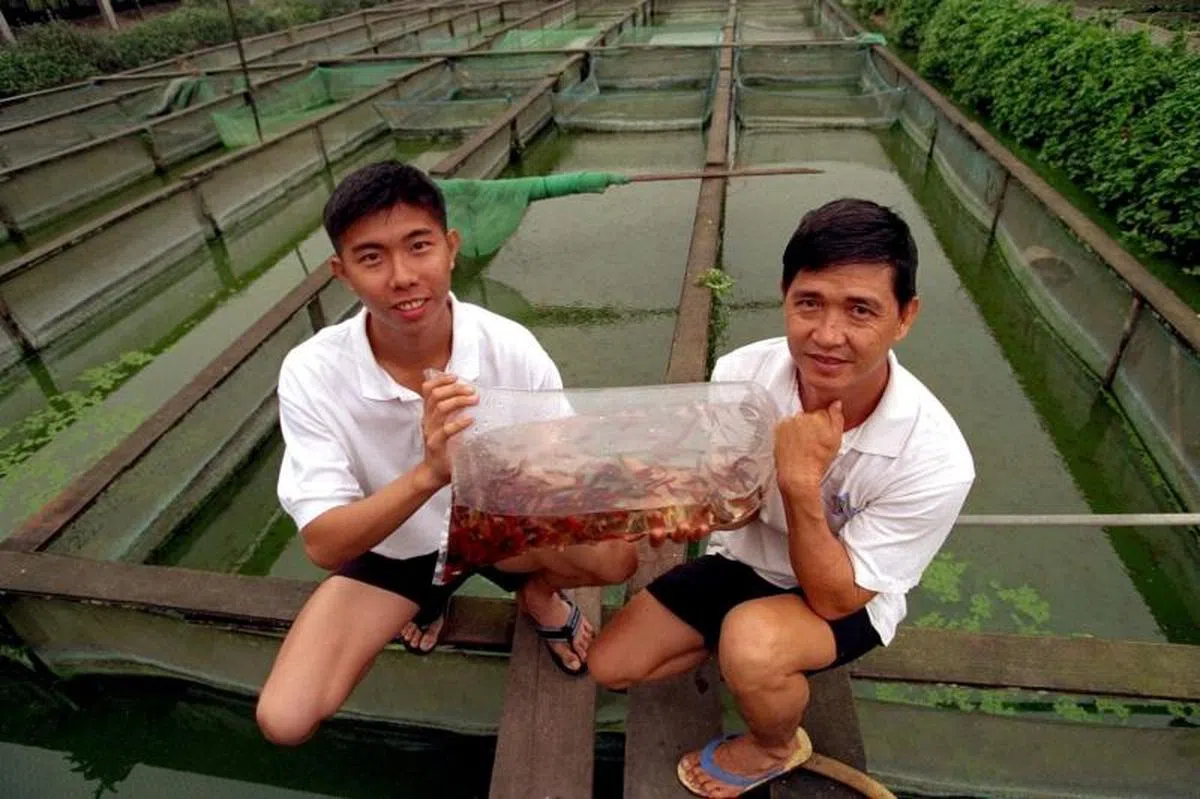  吴仕豪读幼稚园时，英文字母"a "总是写得不好，把它的"尾巴"拉得长长的，结果被爸爸用尺打手掌。（联合早报） 